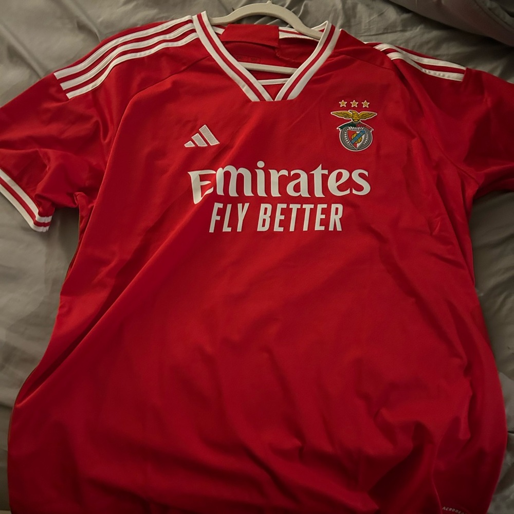 Benfica 23/24 soccer jersey